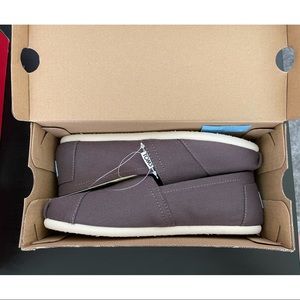 Ash (gray) TOMS